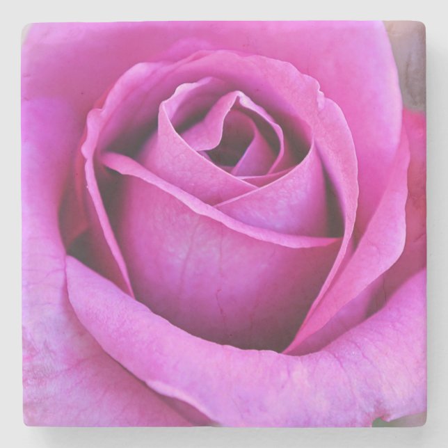 Rosa Rosa Kronblad Blomma Konst Coaster Stenunderlägg (Framsidan)