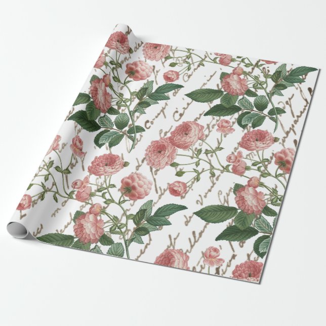 Rosa Rosa Vintage Fransk Skrift Guldtext Presentpapper (Utrullad)