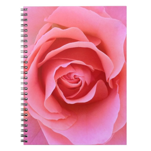 Rosa rosanteckningsbok anteckningsbok med spiral (Framsidan)