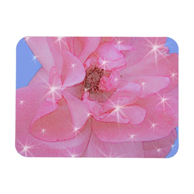 rosa rosblomma och gnistrande stjärnor magnet (Horisontell)