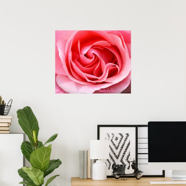 Rosa Rosblomma Tryck Skönhet av en Ros (Hemmakontoret)