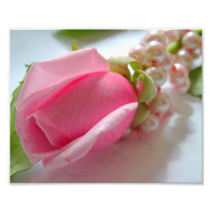 Rosa rosblommaknopp med det pärlemorfärg fototryck