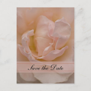 Rosa rosblommig Quinceañera Spara datum Meddelande Vykort