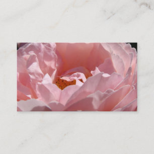 Rosa rosblommor företags kort blom-