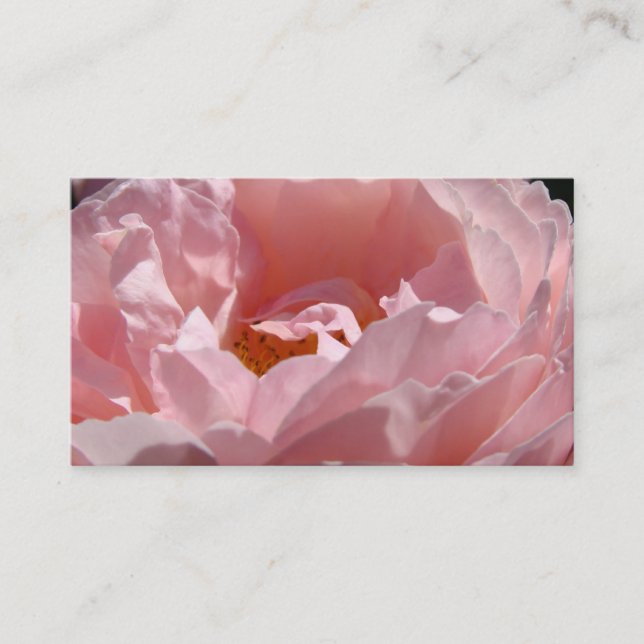 Rosa rosblommor företags kort blom- (Framsida)