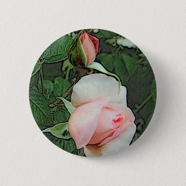 rosa rosblommor knapp (Framsida)