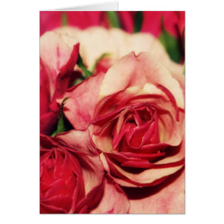 Rosa rosbukettkonst fotograferar hälsningskort