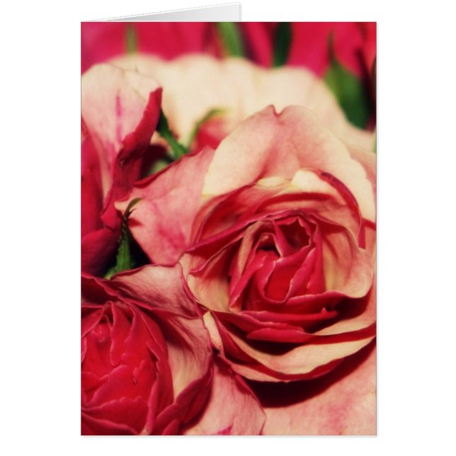 Rosa rosbukettkonst fotograferar hälsningskort (Framsidan)