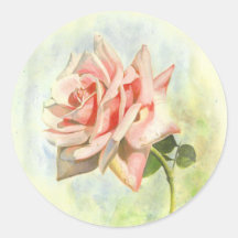 Rosa rosdekaler