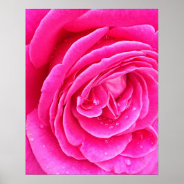 Rosa rosdroppar poster
