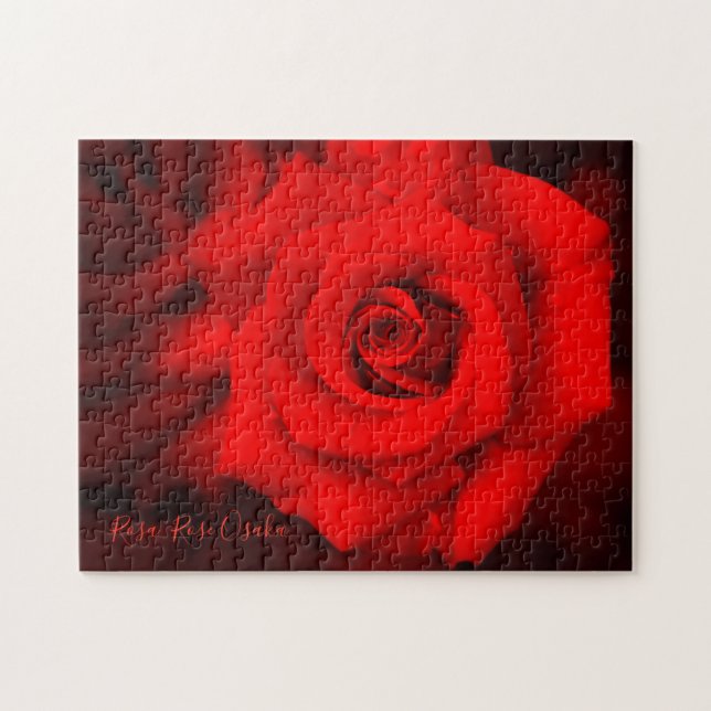 Rosa 'Rose Osaka'  [Pussel: 252P] Pussel (Horisontell)