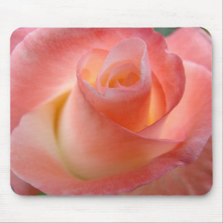 Rosa rosemusslor Alla hjärtans dag Blommor Musmatta