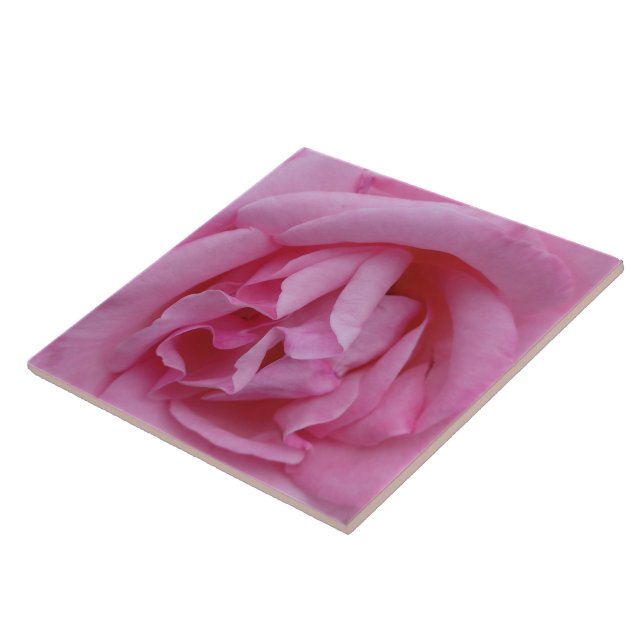 Rosa rosen blomma kakelplatta (Sidan)