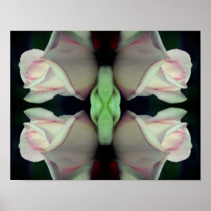 Rosa Rosenknopp Abstrakt blomma Poster