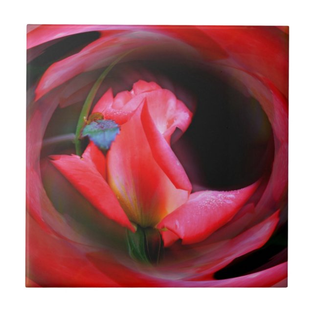 Rosa Rosenknopp BlomAbstrakt Art Kakelplatta (Framsidan)