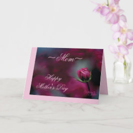 Rosa Rosenknopp Mors dag-kort Kort