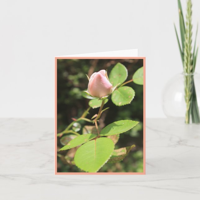 Rosa Rosenknopp Porträtt-anteckningskort Tack Kort (Framsida)
