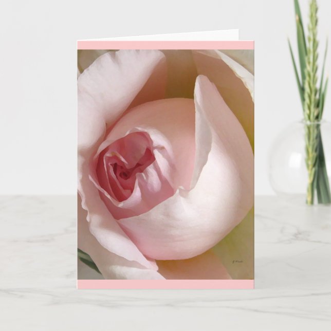 Rosa rosenknopphälsningkort kort (Framsida)
