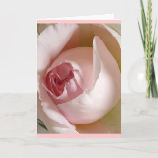 Rosa rosenknopphälsningkort kort