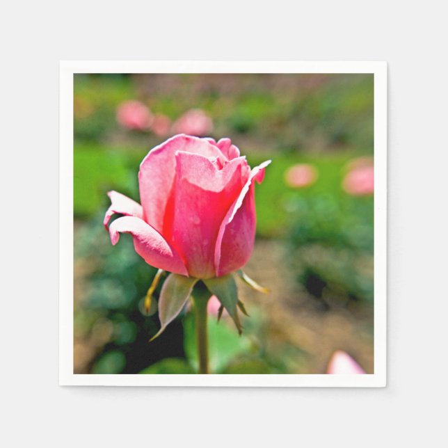 Rosa rosenträdgård pappersservett (Framsidan)