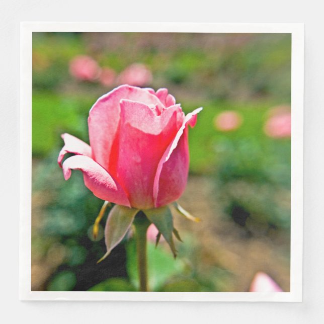 Rosa rosenträdgård pappersservett (Framsida)