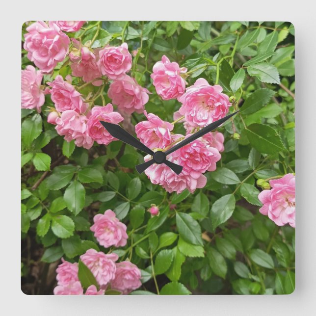 Rosa Rosenträdgårds Blommig Klocka (Framsida)