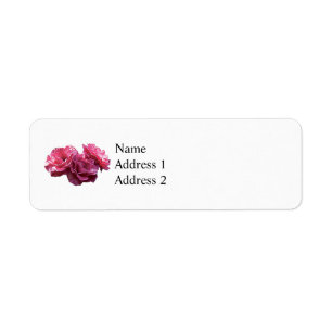 Rosa rosentrio returadress etikett