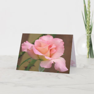Rosa roshälsningkort kort