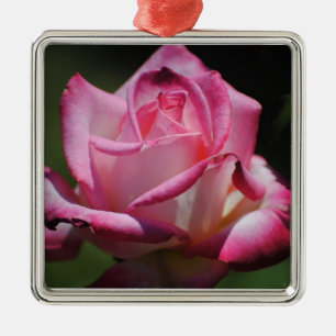 Rosa rosKordes Perfecta prydnad Julgransprydnad Metall