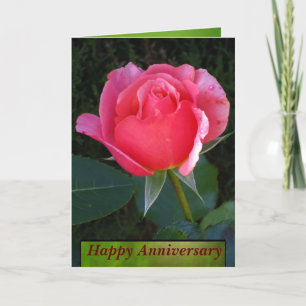 Rosa roslyckligårsdag kort