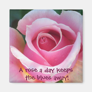 Rosa rosmagnet magnet