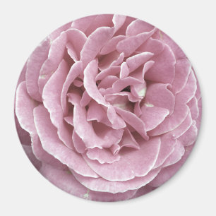 Rosa rosmagneter magnet