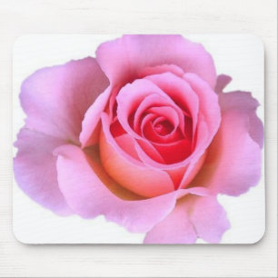 rosa rosmousepad musmatta