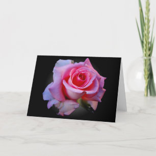 Rosa rosnotecard kort