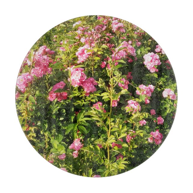 Rosa rosor i blom  (Framsidan)