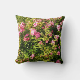 Rosa rosor i blomning kudde