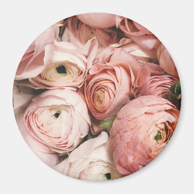 Rosa rosor magnet (Framsidan)
