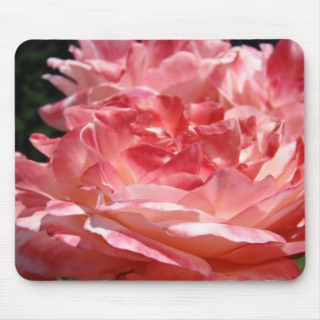 ROSA ROSOR MUSMATTOR MUSMATTA (Framsidan)