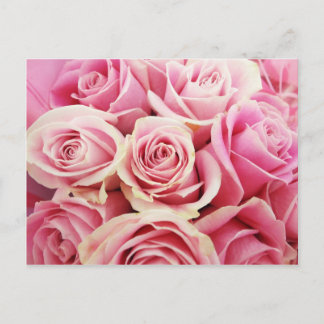 Rosa rosor Rosbukett Rosig Rosa blommor Buske Vykort