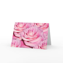 Rosa rosor tom kort