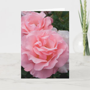 Rosa rosor välkomstkort kort