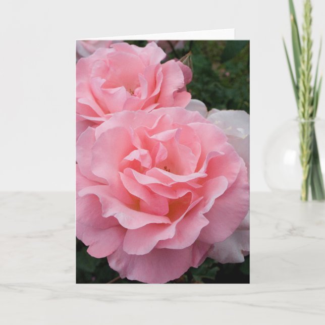 Rosa rosor välkomstkort kort (Framsida)
