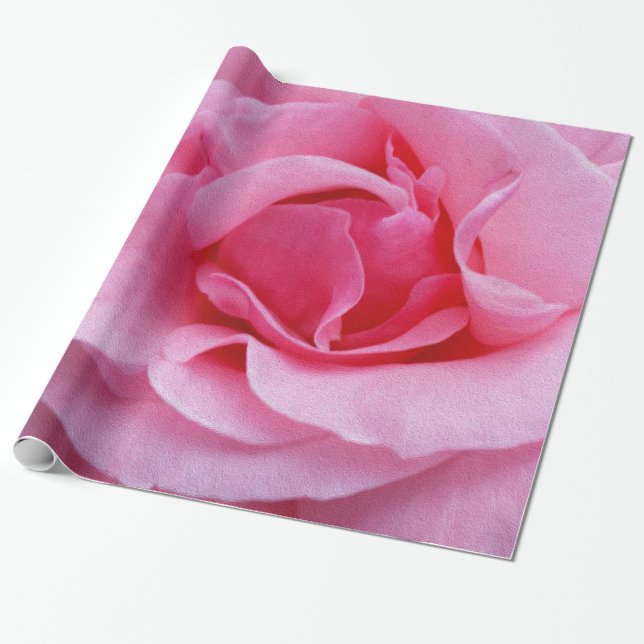 Rosa rospetals presentpapper (Utrullad)