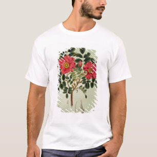 Rosa rugosa, från 'floror Japonica T Shirt