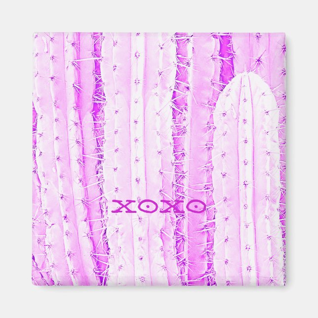 Rosa Saguaro Cactus Photo Art Roligt Magnet (Framsidan)