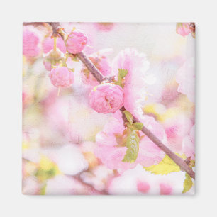 Rosa sakura-blommor - Japansk körsbärsblommar Magnet