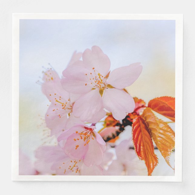 Rosa sakura-blommor - Japansk körsbärsblommar Pappersservett (Framsida)