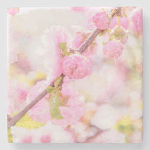 Rosa sakura-blommor - Japansk körsbärsblommar Underlägg Sten