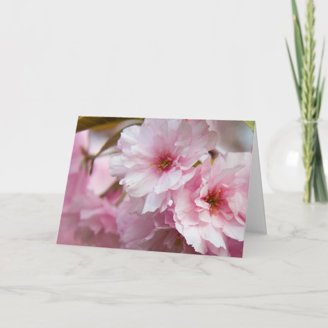 Rosa Sakura blommor Kort (Framsida)