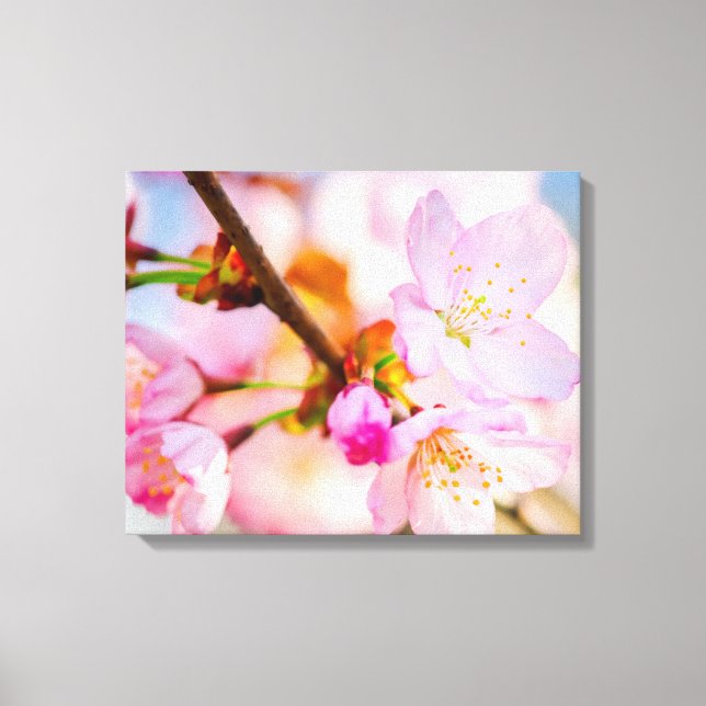 Rosa Sakura-blommor. Livets triumf på våren Canvastryck (Framsida)